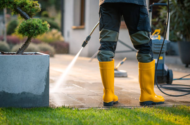  Nora Springs, IA Pressure Washing Pros